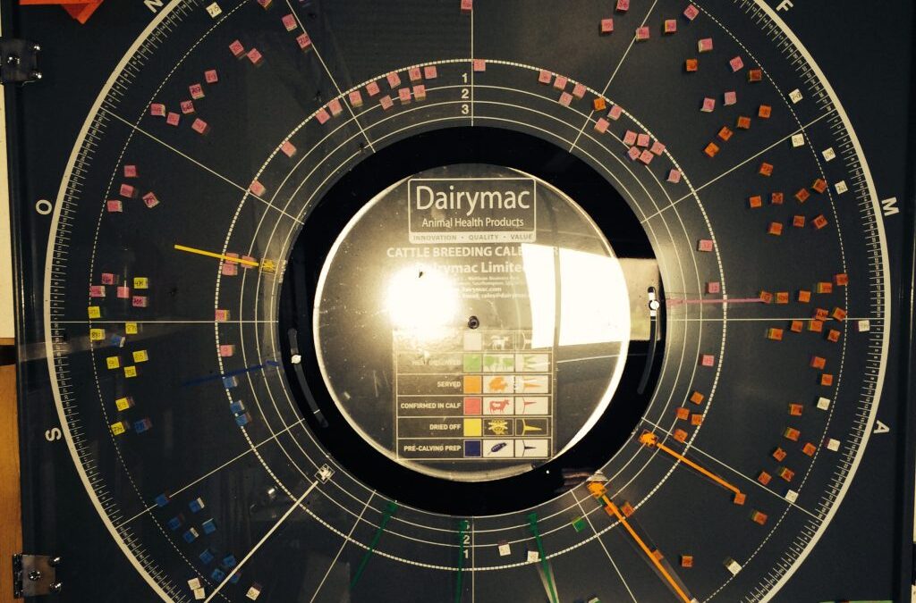 Varför du bör köpa en brunstkalender på hemsidan brunst.se
