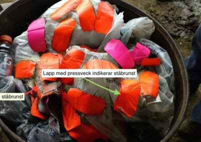 Brunstlappar vars färg har gnuggats av vid ståbrunst